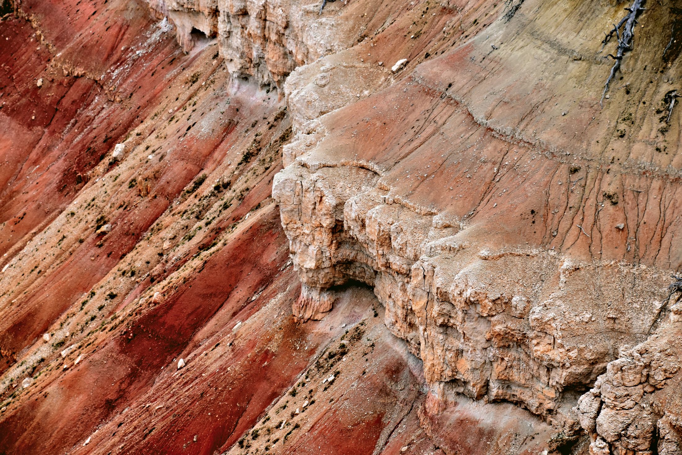 Layered rock strata in a canyon